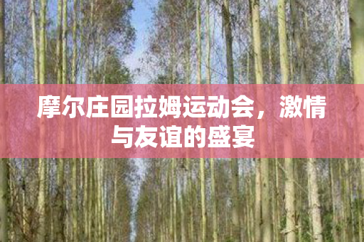 摩尔庄园拉姆运动会图片