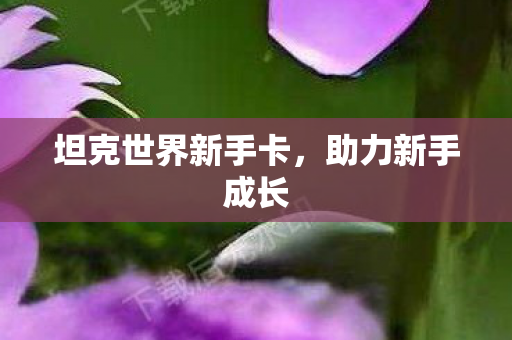 坦克世界新手卡图片