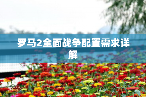罗马2全面战争配置需求详解图片