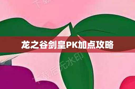 龙之谷剑皇PK加点攻略图片