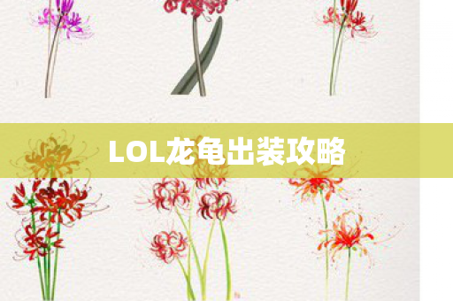 LOL龙龟出装攻略图片