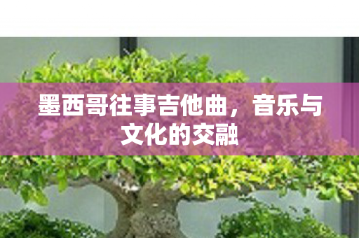 墨西哥往事吉他曲图片