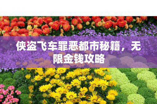 侠盗飞车罪恶都市秘籍图片