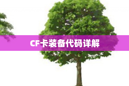 CF卡装备代码详解图片