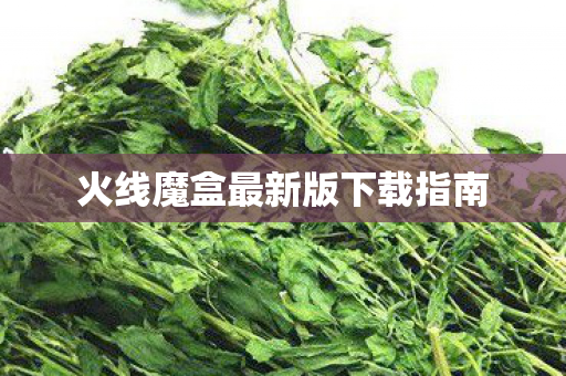火线魔盒最新版下载指南图片