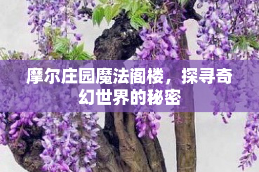 探寻奇幻世界的秘密图片