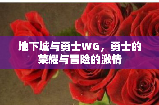 勇士的荣耀与冒险的激情图片