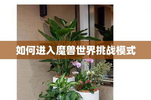 如何进入魔兽世界挑战模式图片