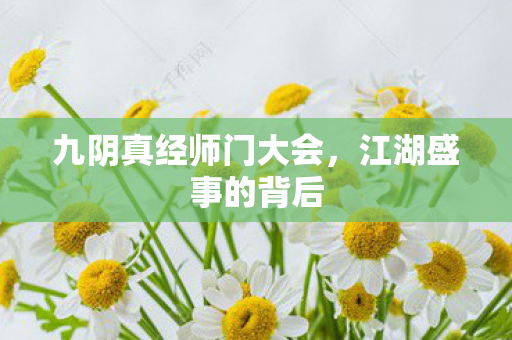 九阴真经师门大会图片