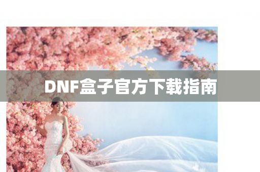 DNF盒子官方下载指南图片