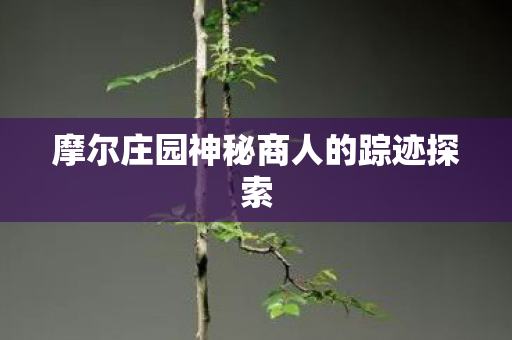 摩尔庄园神秘商人的踪迹探索图片