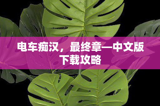 中文版下载攻略图片