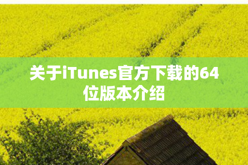 关于iTunes官方下载的64位版本介绍图片