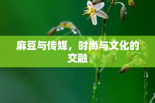 时尚与文化的交融图片