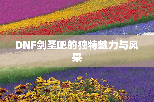 DNF剑圣吧的独特魅力与风采图片