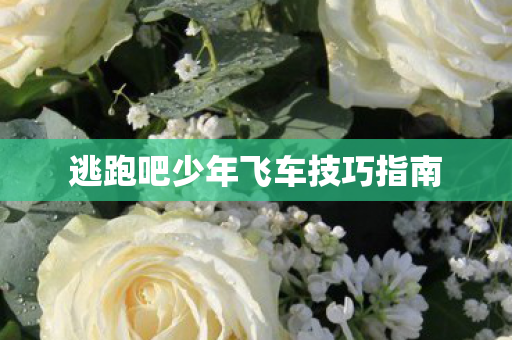 逃跑吧少年飞车技巧指南图片