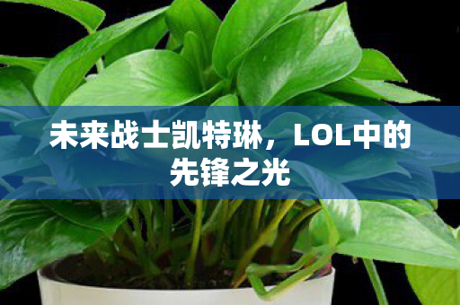 LOL中的先锋之光图片