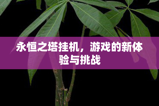 游戏的新体验与挑战图片