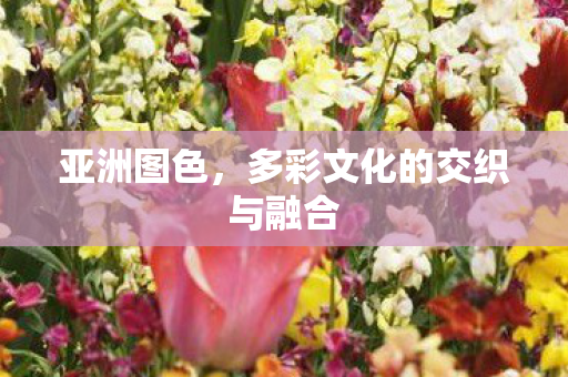 多彩文化的交织与融合图片