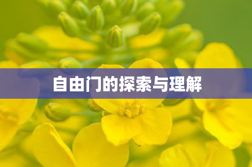 自由门的探索与理解图片