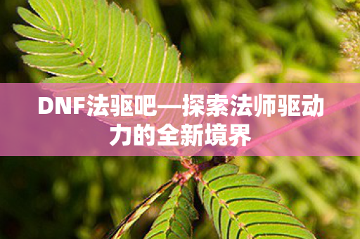 探索法师驱动力的全新境界图片