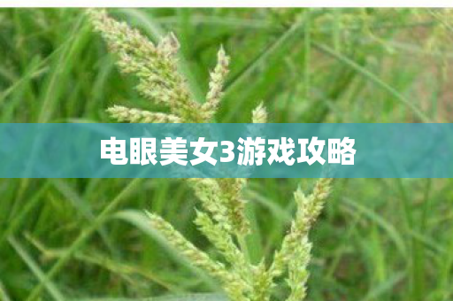 电眼美女3游戏攻略图片