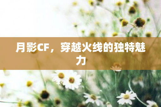 穿越火线的独特魅力图片