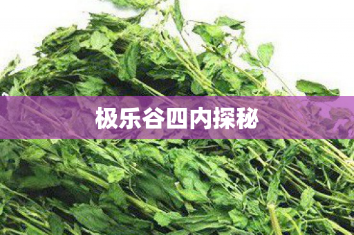 极乐谷四内探秘图片