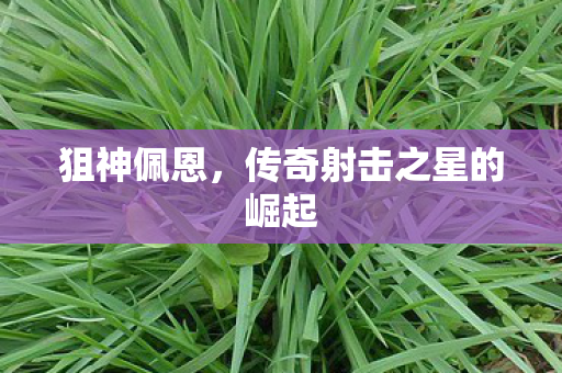 传奇射击之星的崛起图片