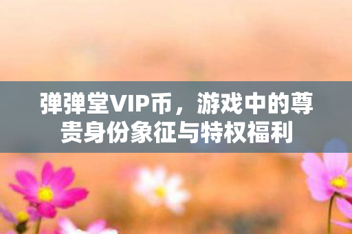 游戏中的尊贵身份象征与特权福利图片