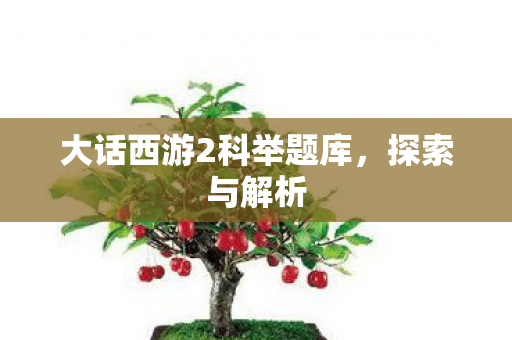 大话西游2科举题库图片