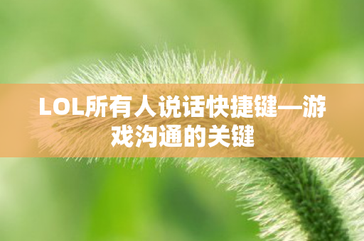 LOL所有人说话快捷键图片