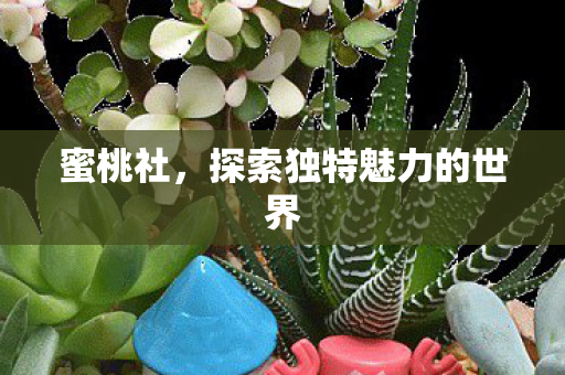 探索独特魅力的世界图片