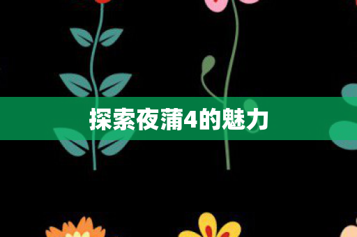 探索夜蒲4的魅力图片