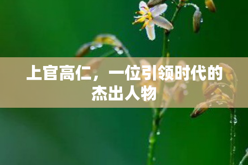 一位引领时代的杰出人物图片