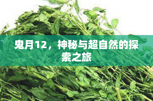 神秘与超自然的探索之旅图片