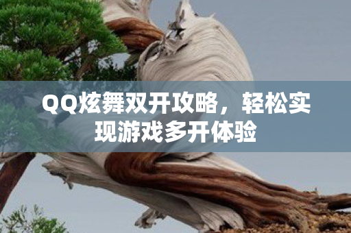 轻松实现游戏多开体验图片