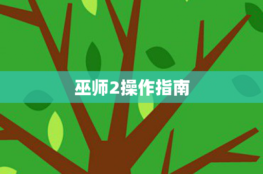 巫师2操作指南图片