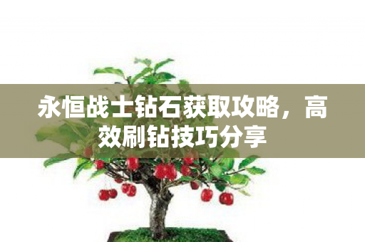 永恒战士钻石获取攻略图片