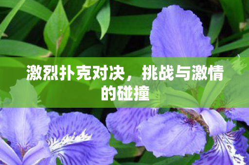 挑战与激情的碰撞图片
