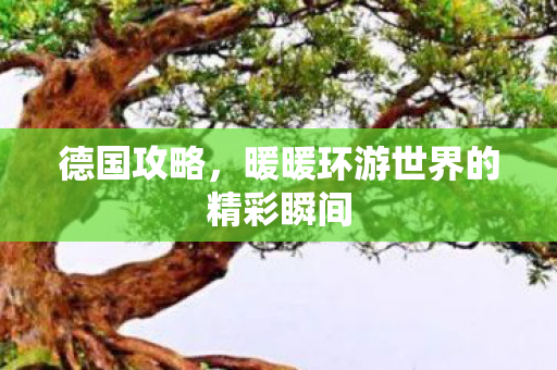 暖暖环游世界的精彩瞬间图片