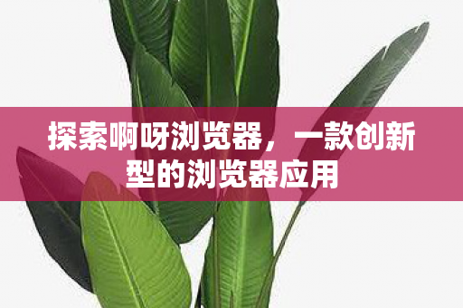 一款创新型的浏览器应用图片