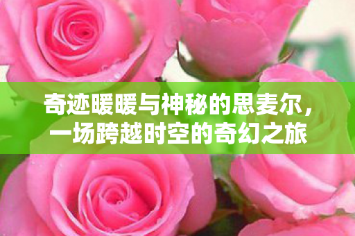 奇迹暖暖与神秘的思麦尔图片