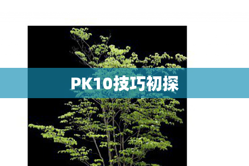 PK10技巧初探图片