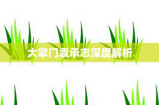 大掌门袁承志深度解析图片