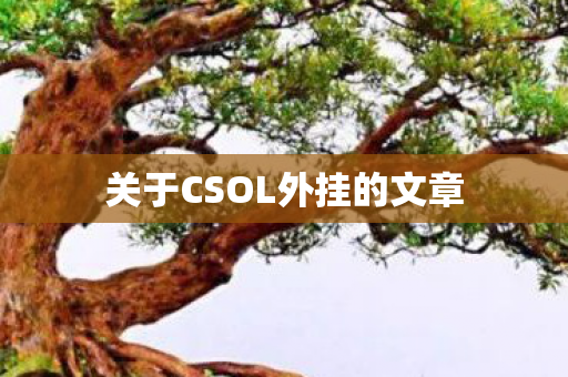 关于CSOL外挂的文章图片