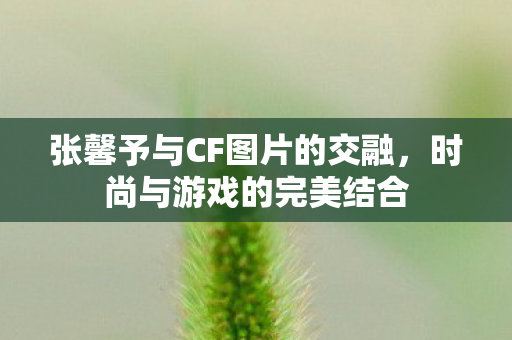 张馨予与CF图片的交融图片
