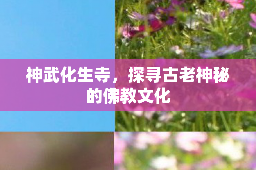 探寻古老神秘的佛教文化图片