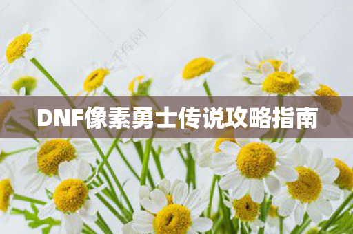 DNF像素勇士传说攻略指南图片