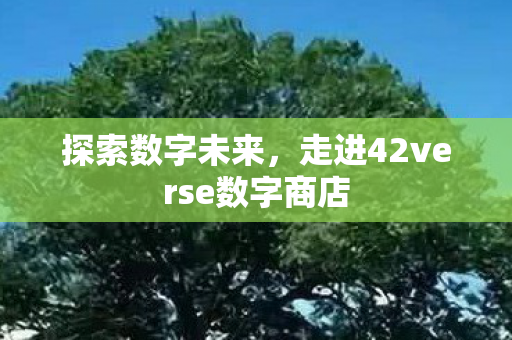 走进42verse数字商店图片